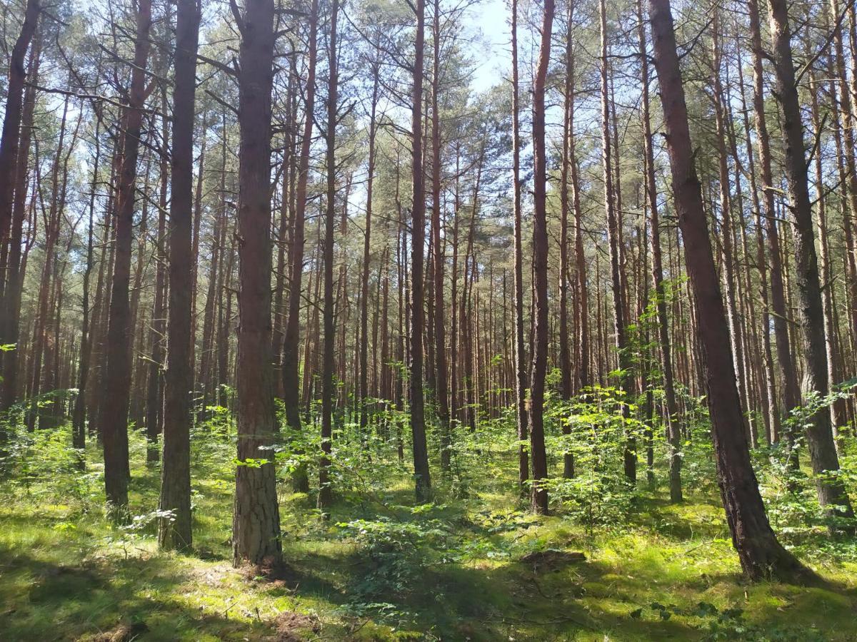 Home&Slow Life Gdansk Luaran gambar